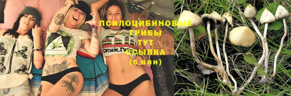 гидропоника Наволоки