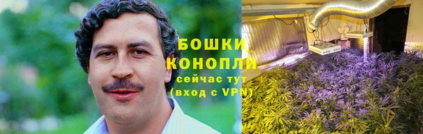 ГАЛЛЮЦИНОГЕННЫЕ ГРИБЫ Навашино