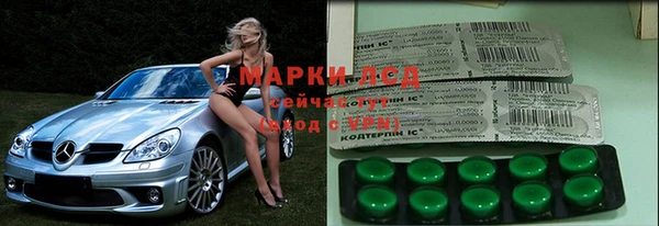 ГАЛЛЮЦИНОГЕННЫЕ ГРИБЫ Навашино