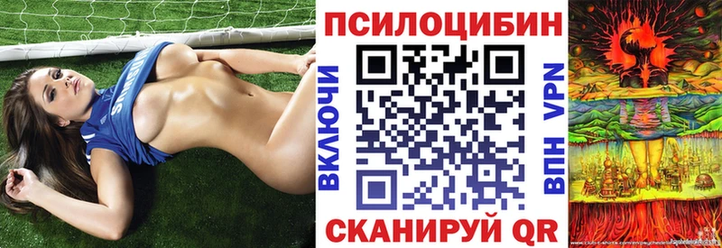 Галлюциногенные грибы мицелий  где купить наркоту  Дмитриев 